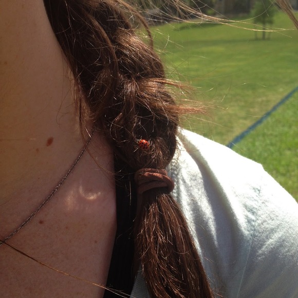 Meet your Posher, Cassidy - Picture 1 of 1